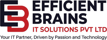 Efficient Brains